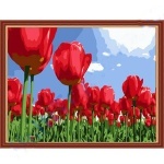 Рисование по номерам ЦВЕТЫ 40*50см