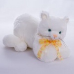Кот