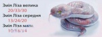 Змея Лиза средняя