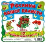Картки міні