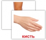 Карточки мини украинские с фактами