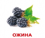 Карточки большие украинские с фактами
