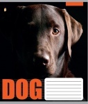 Тетрадь А5/12 лиия DOG
