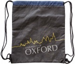 Сумка для обуви SB-01 Oxford black