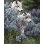 Рисование по номерам, в ассортименте